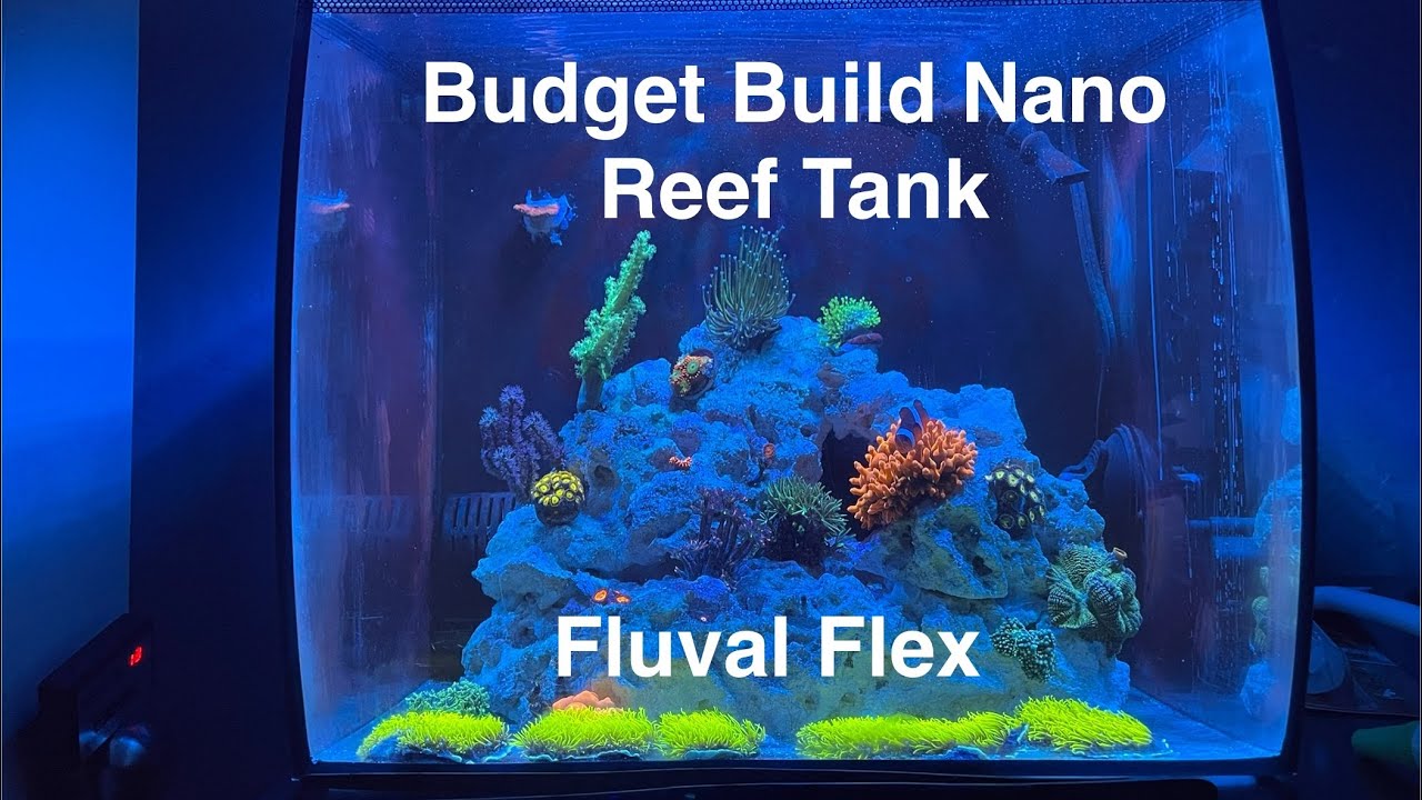 Cheap Budget Build Nano Reef Tank! Fluval Flex Saltwater Aquarium!