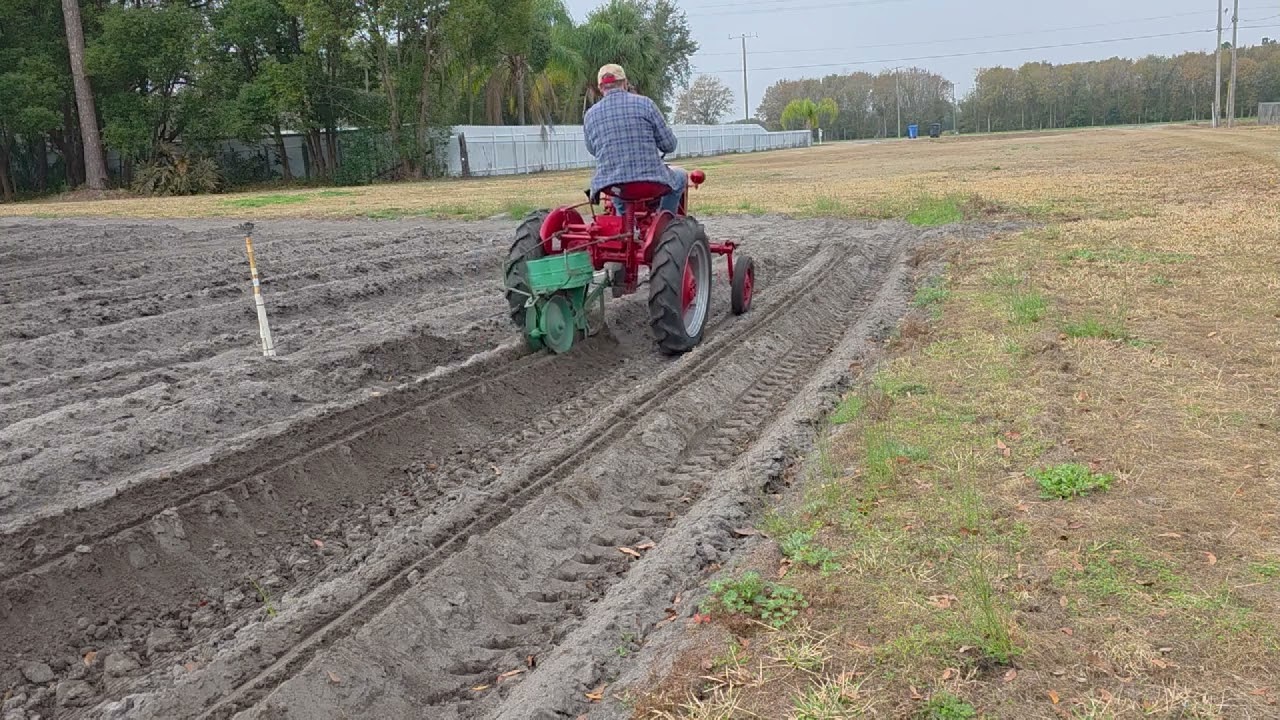 Planting Peanuts with A 1952 Farmall Cub