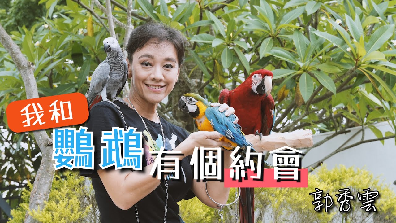 我和鸚鵡有個約會 郭秀雲