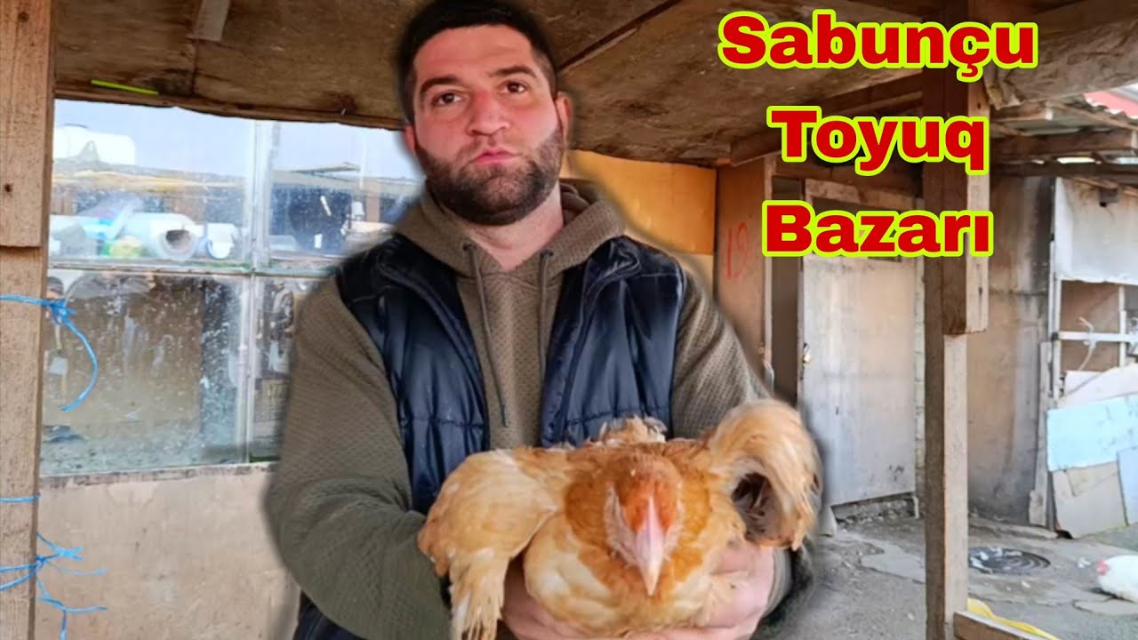 Sabunçu Toyuq Bazarı 8 fevral 2026