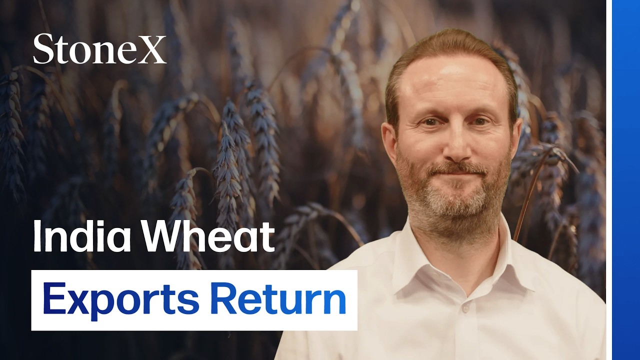 India&rsquo;s Return to Wheat Trade Shifts Global Balance