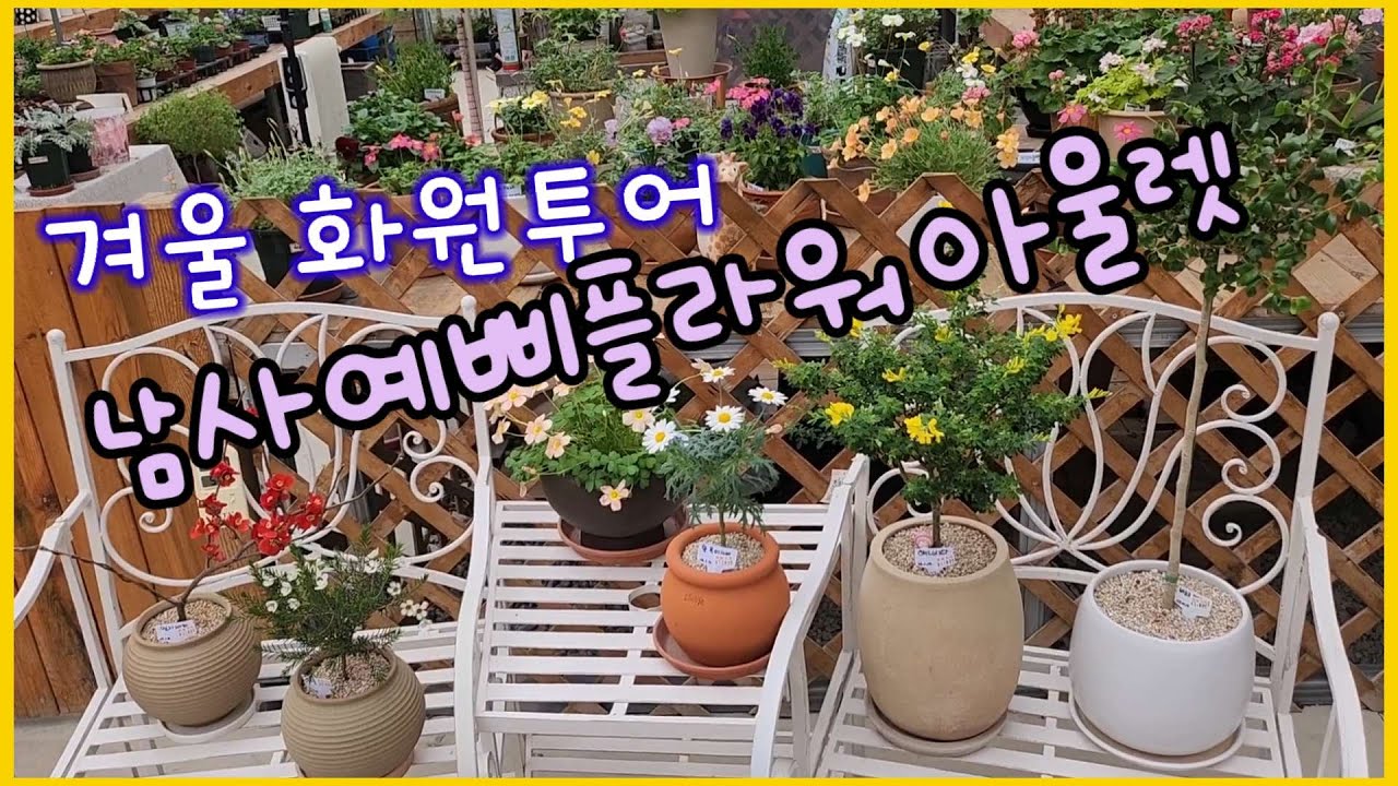 겨울화원투어#남사예삐플라워아울렛