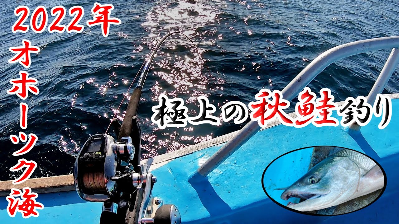 【秋鮭】2022年も極上の秋鮭を求めて船釣りに挑戦！！【オホーツク】