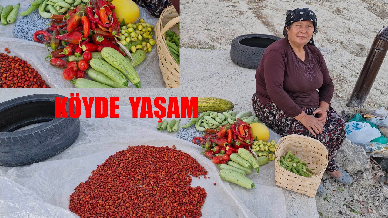 AKŞAM AKŞAM BAHÇE HASATIMIZ BOL BOL TAZE TAZE BOL ÇEŞİT