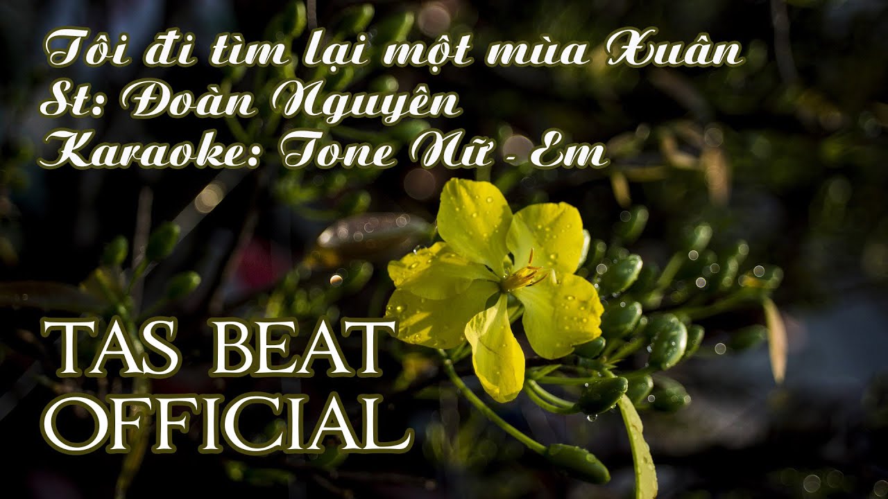 Karaoke Tôi đi tìm lại một mùa Xuân - Tone Nữ | TAS BEAT