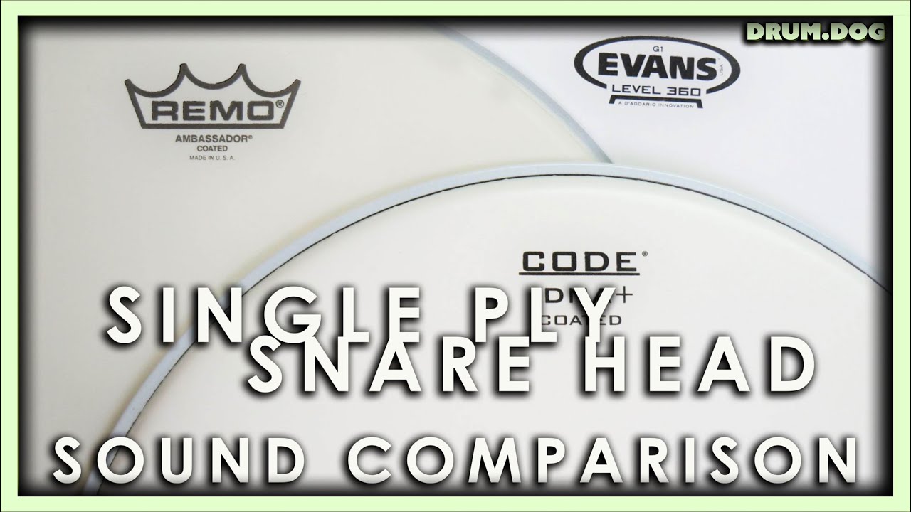 Evans G1 vs. Remo Ambassador vs. Code DNA | Single-Ply Snare Batter Head Sound Comparison | Drum Dog