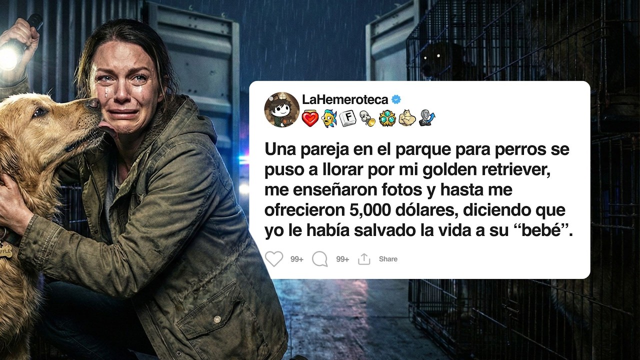 Pensé que devolvía a un perro perdido… en realidad se lo entregué a una red criminal
