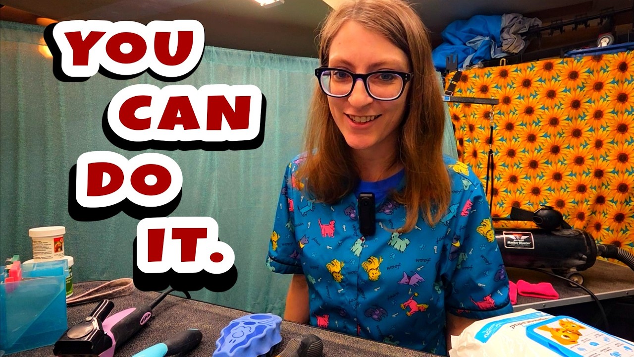 How to Start Home Grooming (Easier Than You Think!)