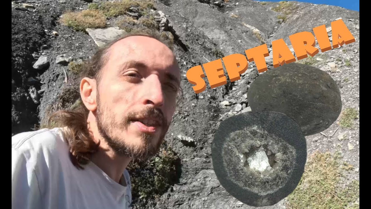 Découverte de SEPTARIA dans les Alpes