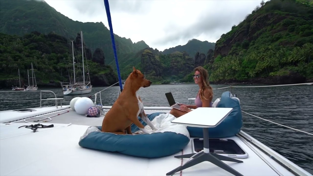 Starlink Revolutionizes Internet for Boats &ndash; Find Out How! | West Marine