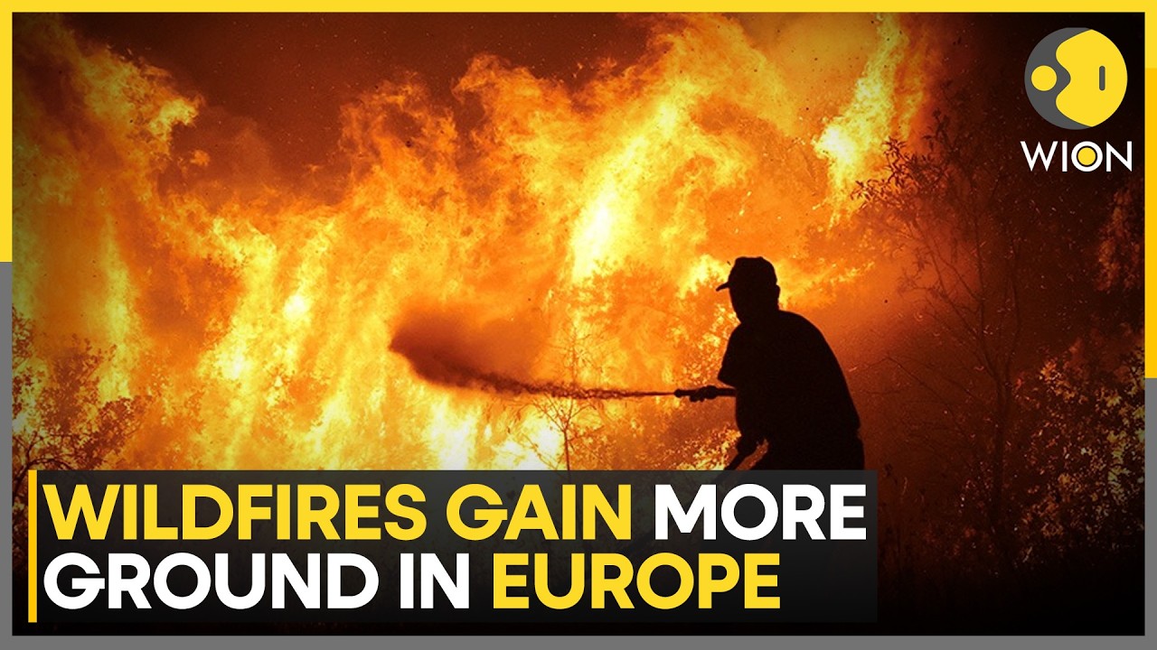 Europe Wildfires: Greek Firefighters Suppress Fire Near Athens | WION News