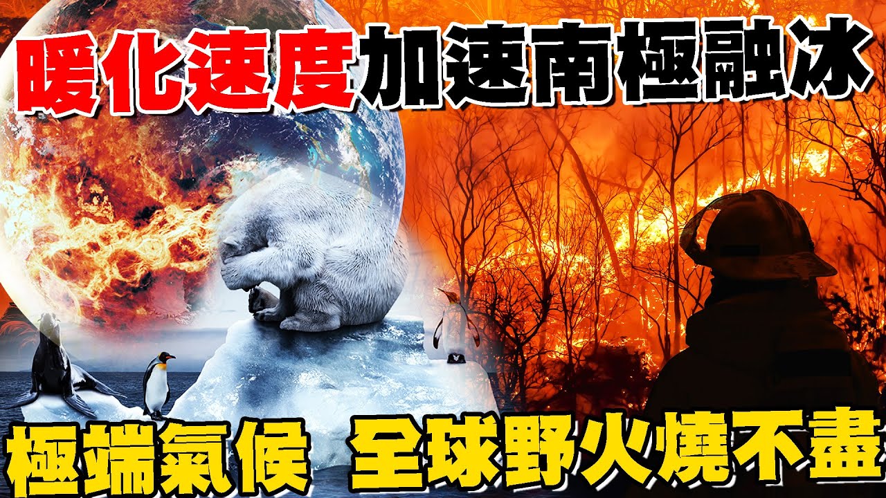 地球暖化速度加速南極融冰 極端氣候 全球野火燒不盡 海冰面積退縮創新低紀錄 衝擊企鵝生存@tvbschannel 【T觀點優選】