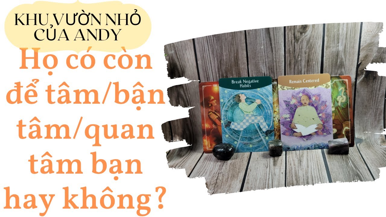 Chọn 1 tụ bài Tarot - Họ có còn để tâm/bận tâm/quan tâm đến bạn không - Alo Andy