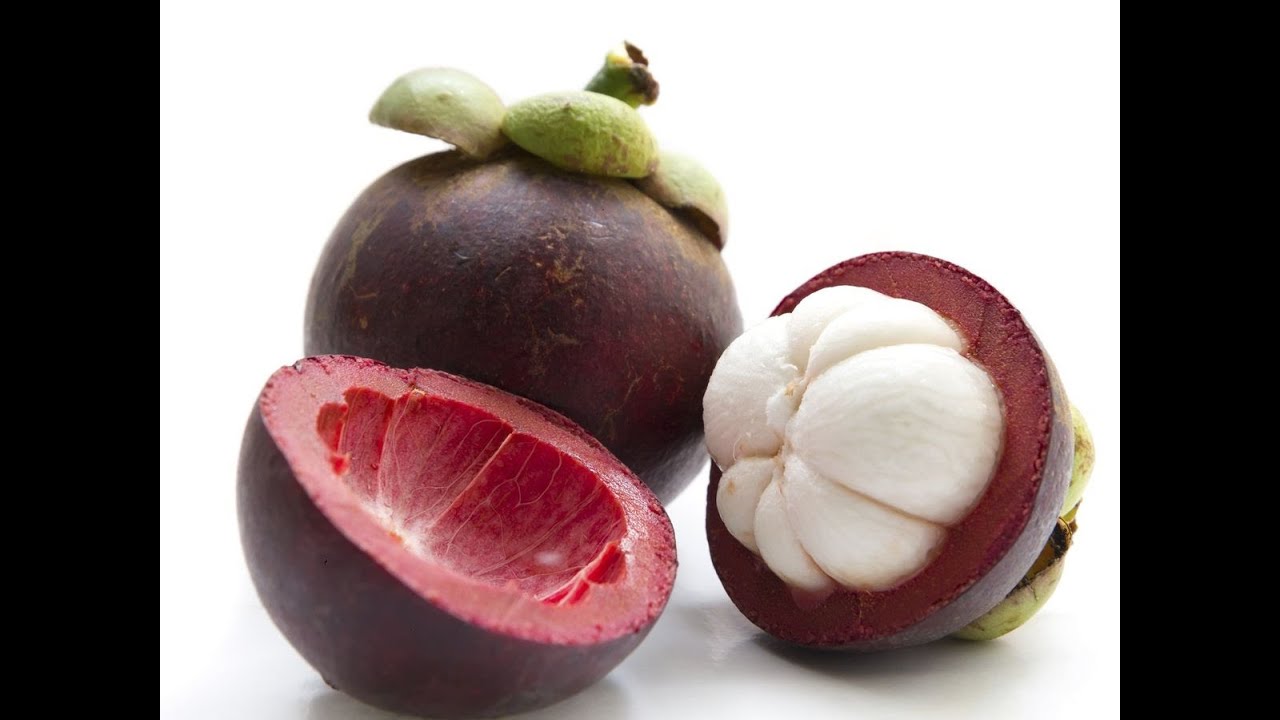 JABUTICABEIRAS E OUTRAS FRUTIFERAS RARAS E AGORA TAMBEM COM FLORES 10/05/2025