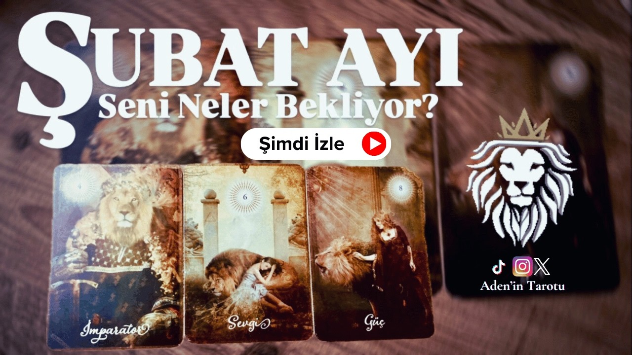 🦁Şubat ayında seni neler bekliyor? | Aslan Dolunayının etkileri sende ne yönde olacak? Desteni seç👇🏻
