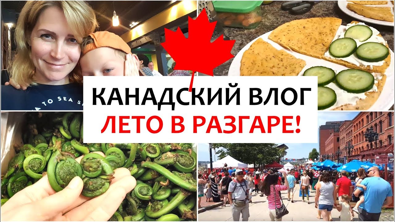 ВЛОГ: ЛЕТО В КАНАДЕ! Ланч-бокс и еда, детский лагерь, головастики || Saint John, New Brunswick