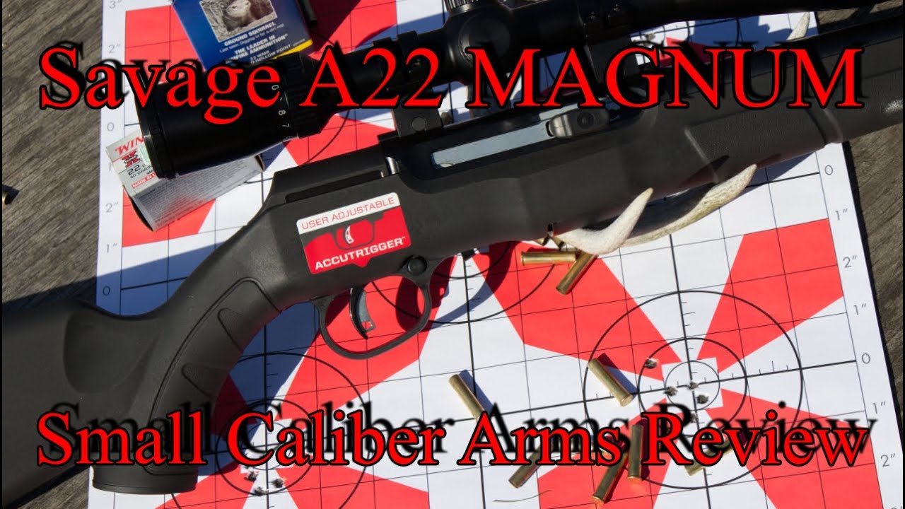 Savage A22 Magnum Range Review