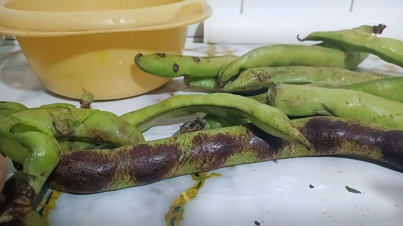 الغداء اليوم اثنين 