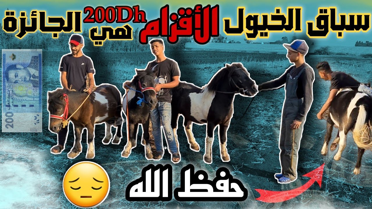 أخطر سباق للخيول الأقزام #poneys عماد طاح حفظوا الله 😓 ولي ربح ياخد200Dhولي خسر ينقي الاسطبل كامل 😱