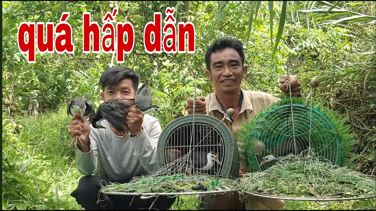 Lên Lai Vung Gác Quốc , Xác Lập Kỷ Lục Mới Trúng Mánh # SĂN BẮT ĐỒNG THÁP #