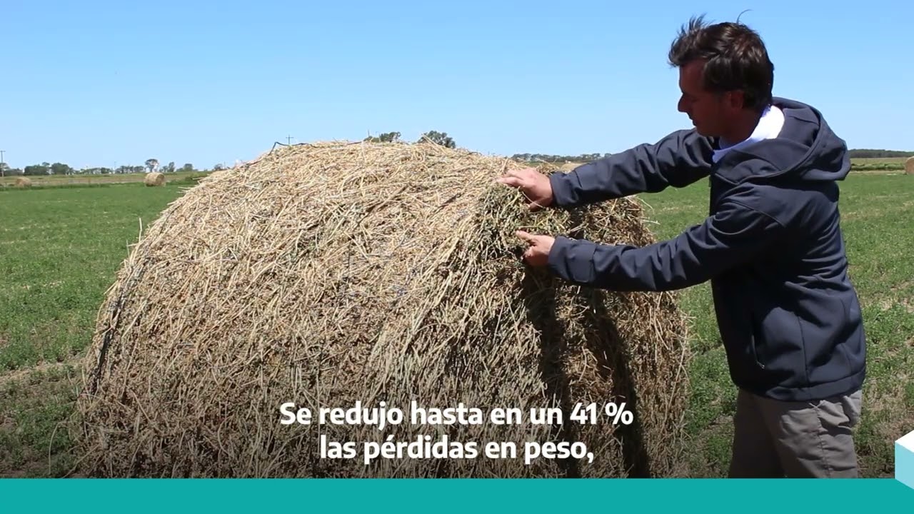 Tecnologías para cosechar y almacenar heno de alfalfa