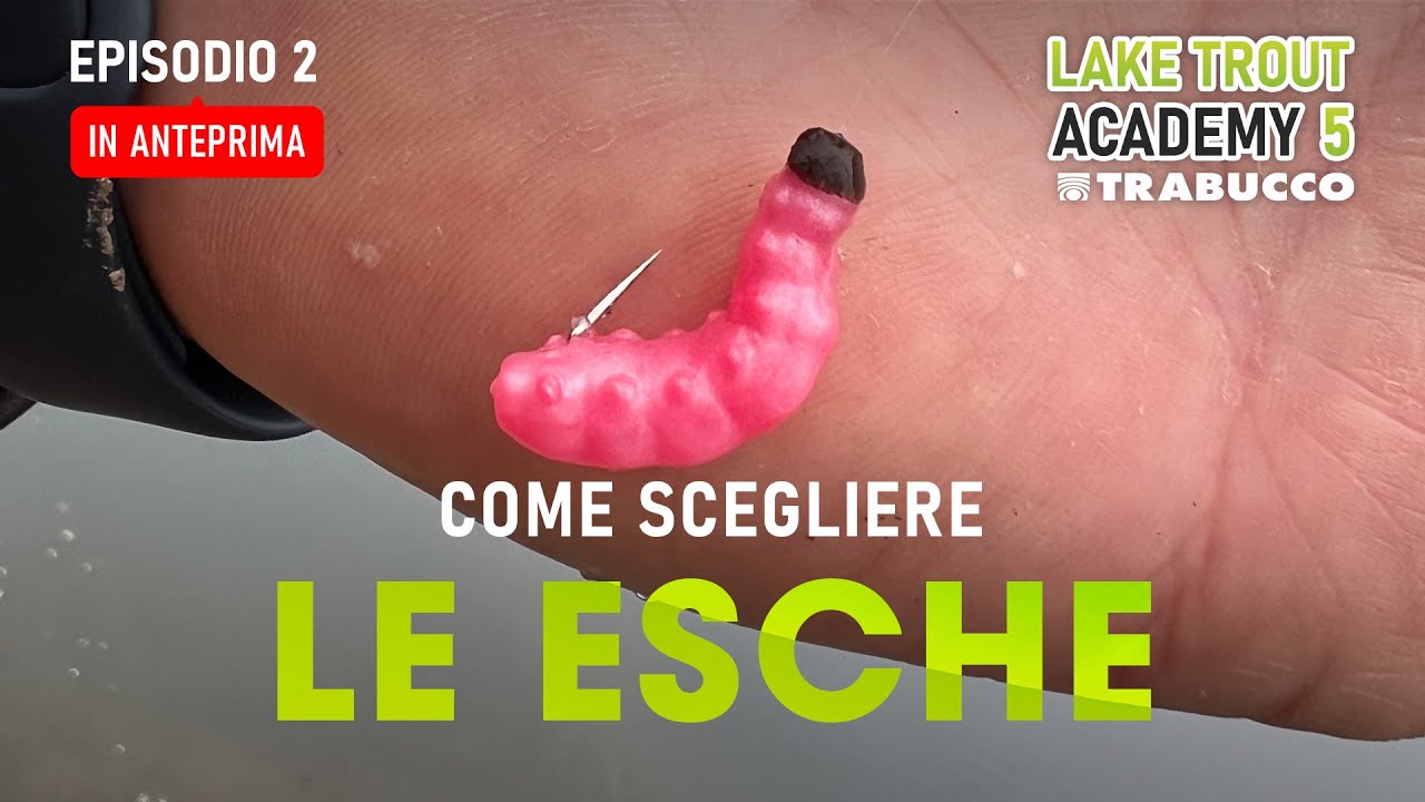 Pesca TROTA LAGO: ESCHE - COME sceglierle / in base a COSA? » Lake Trout Academy S5E2 ANTEPRIMA
