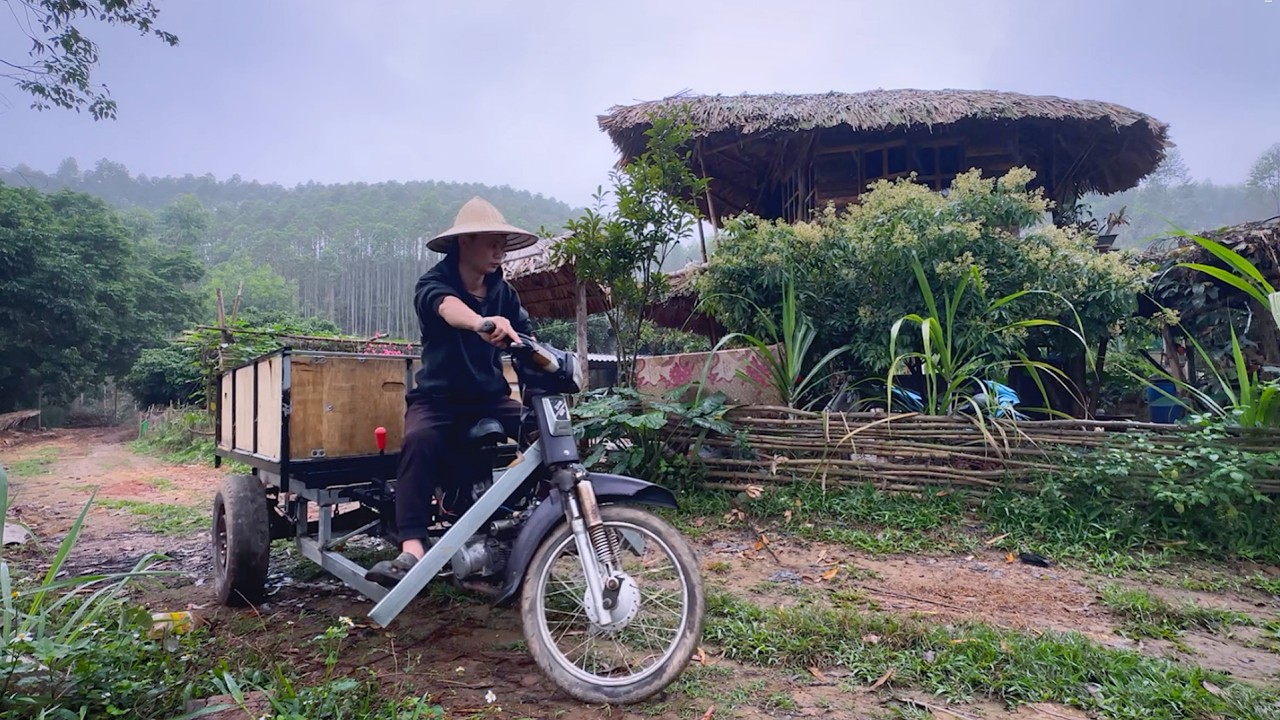 Mountain life: repairing tricycles and picking wild bananas for my pets.