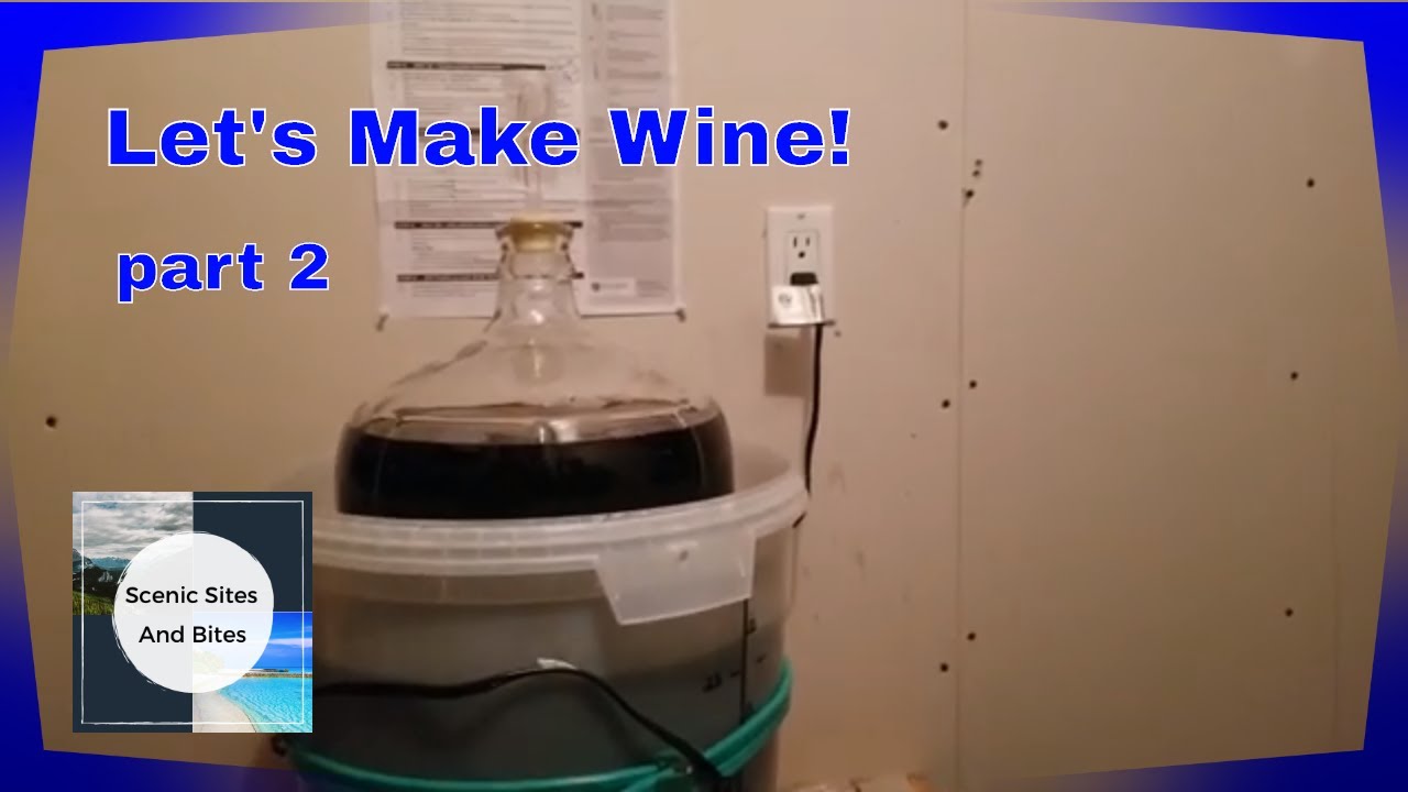Let's make wine! pt. 2 - Winemaking for beginners (Temperature issues? Never do this 1 risky thing)