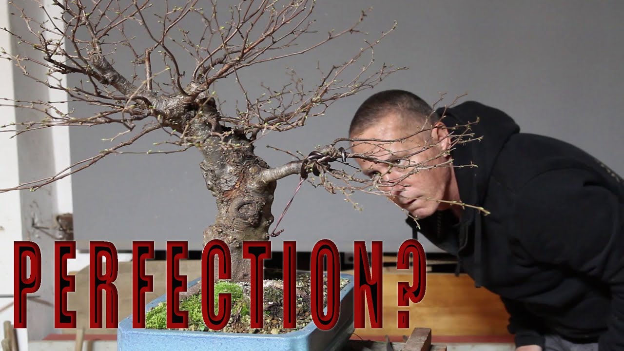 The pursuit of perfection