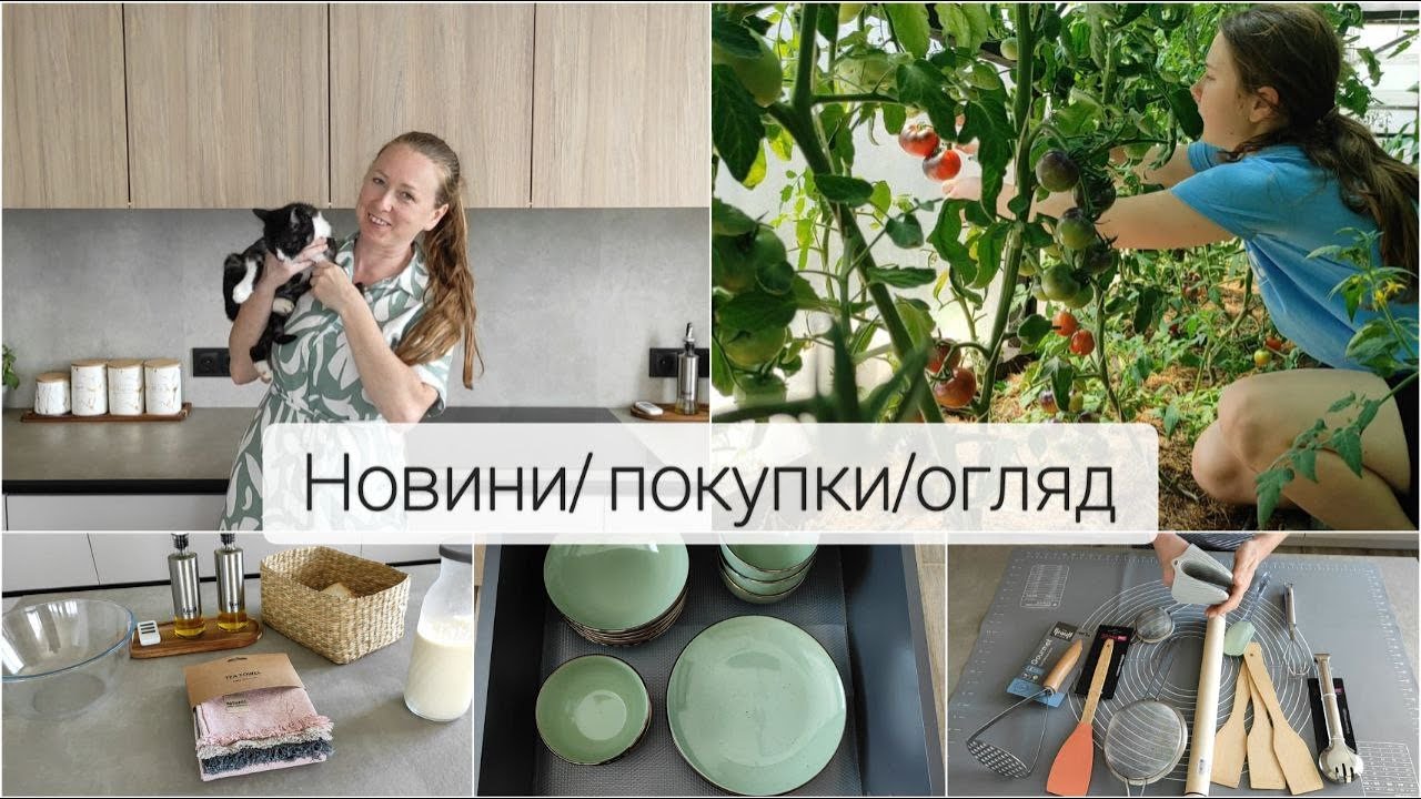 #172 ДЕ ПРОПАДАЛА/ОГЛЯД  покупок на  КУХНЮ/ Екскурсія в ТЕПЛИЦЮ
