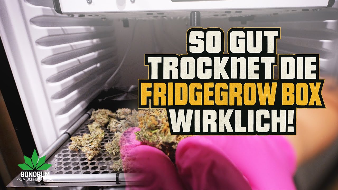So gut trocknet die FridgeGrow Box wirklich! Unser erstes Fazit 🚀