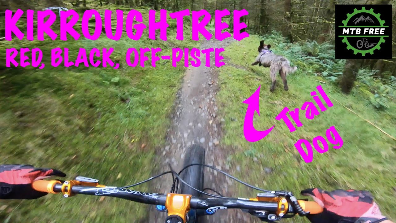 Kirroughtree red black and off piste - mtb (with my trail dog)