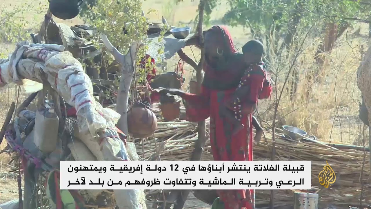 الفلاتة في تشاد يتنقلون مع ماشيتهم في المناطق الوسطى