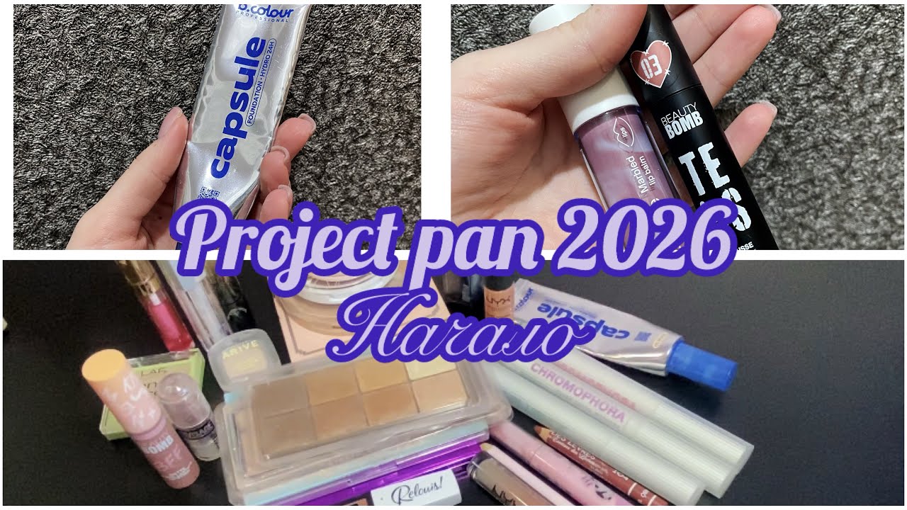 Project pan 2026| начало 💄