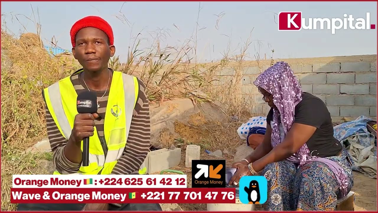 No comment, Sénégal 🇸🇳, ils comptent sur notre soutien pour rentrer en Guinée 🇬🇳