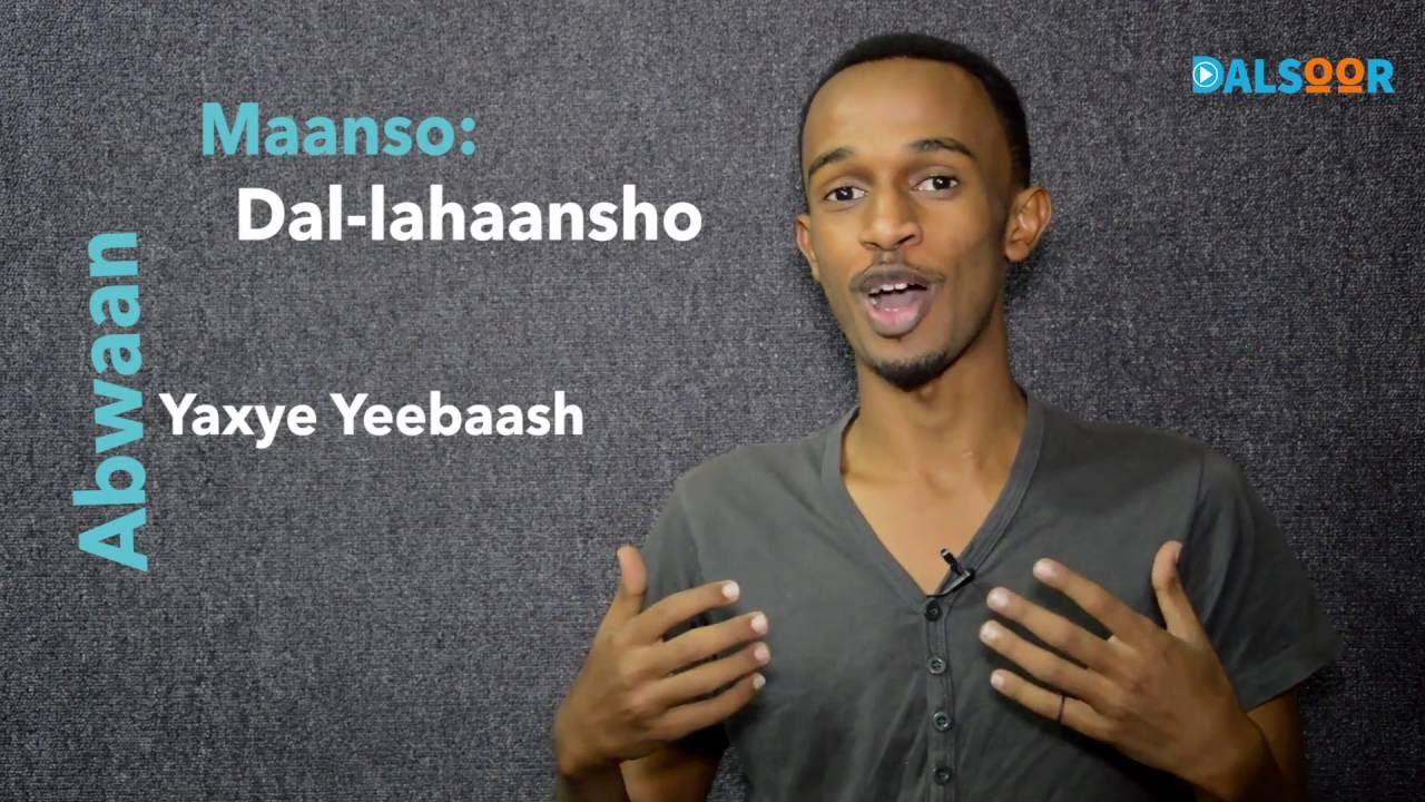 Maanso: Dal-lahaansho - Yaxye Yeebaash