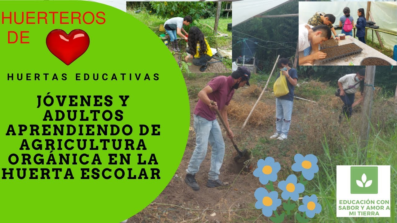 ¿CÓMO APRENDER AGRICULTURA ORGÁNICA, EN LA HUERTA ESCOLAR?