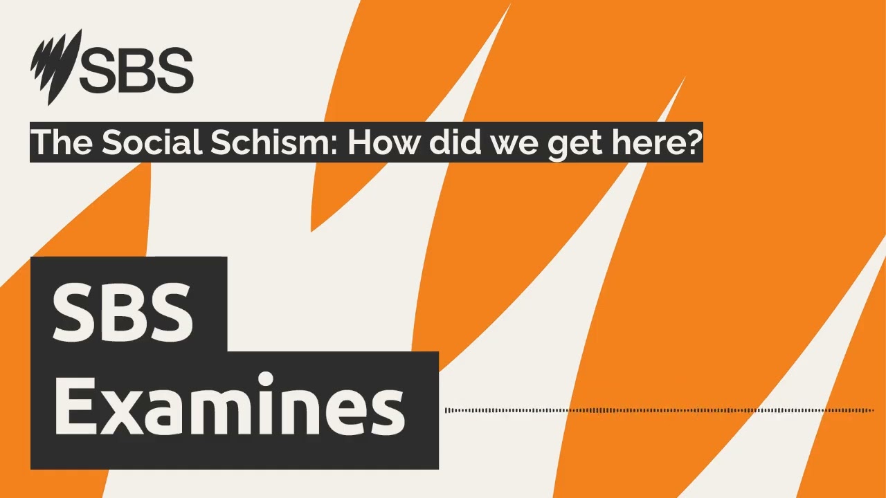 The Social Schism: How did we get here? | SBS Examines