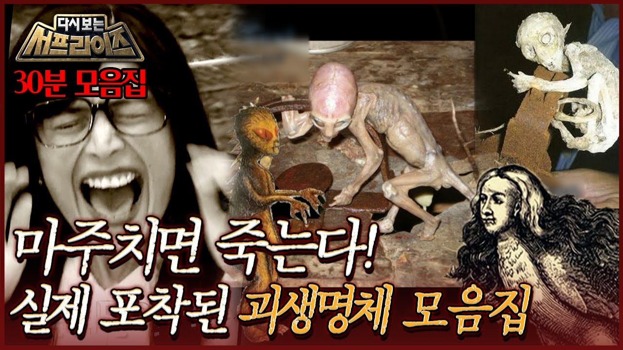 [다시보는 서프라이즈] 악마 혹은 마녀?! 지구상의 생명체와 일치하지 않는 괴생명체 모음집! MBC191006방송