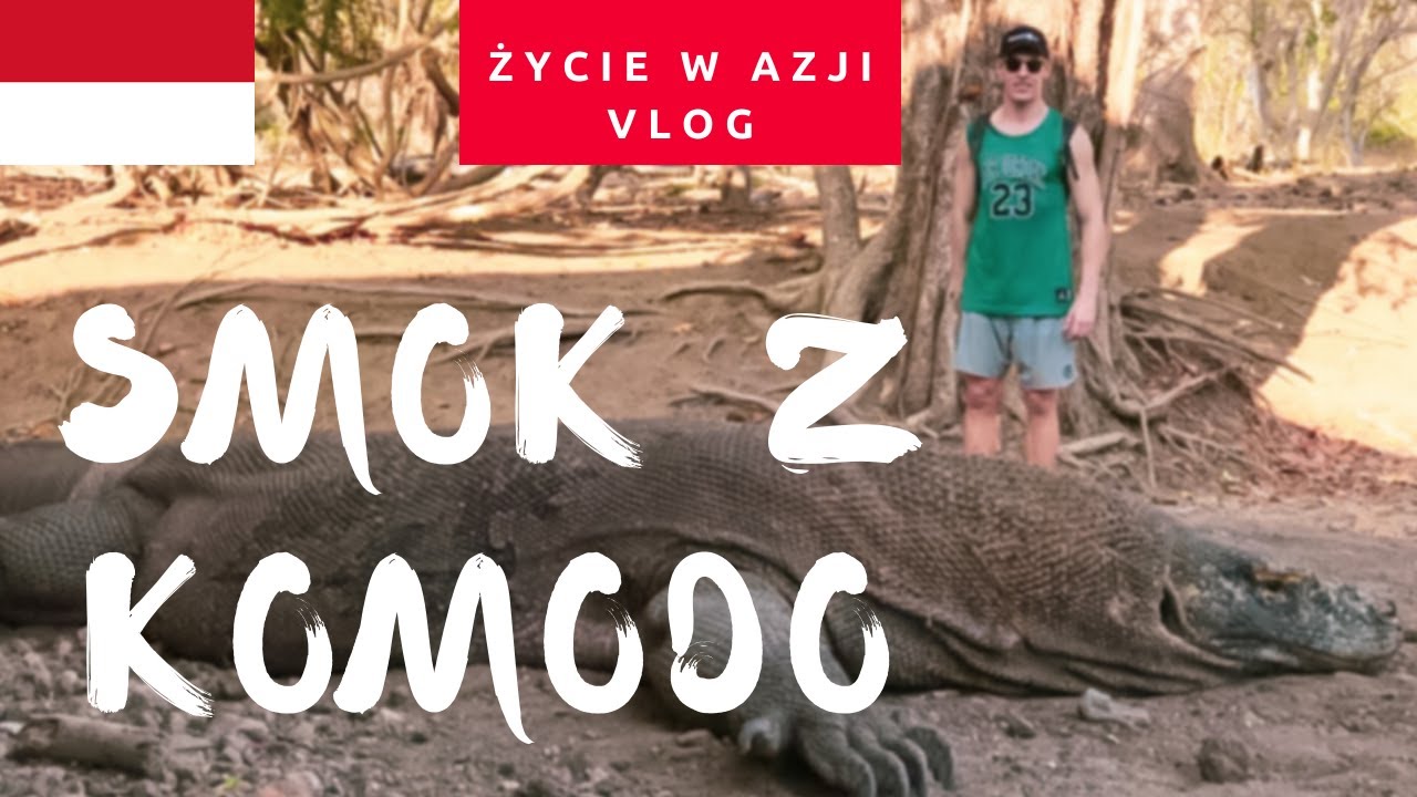 Wyspa Komodo cz.1 | Indonezja Vlog | Życie w Azji