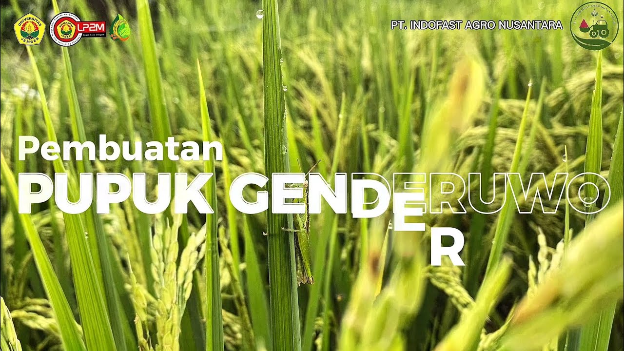 GAK PERLU MAHAL! Pupuk Genderuwo Bikin Tanaman Cepat Panen & Tanah Gembur