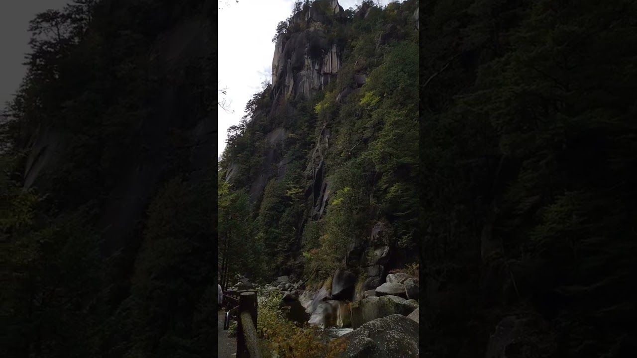 山河雑木林渓谷癒し風景