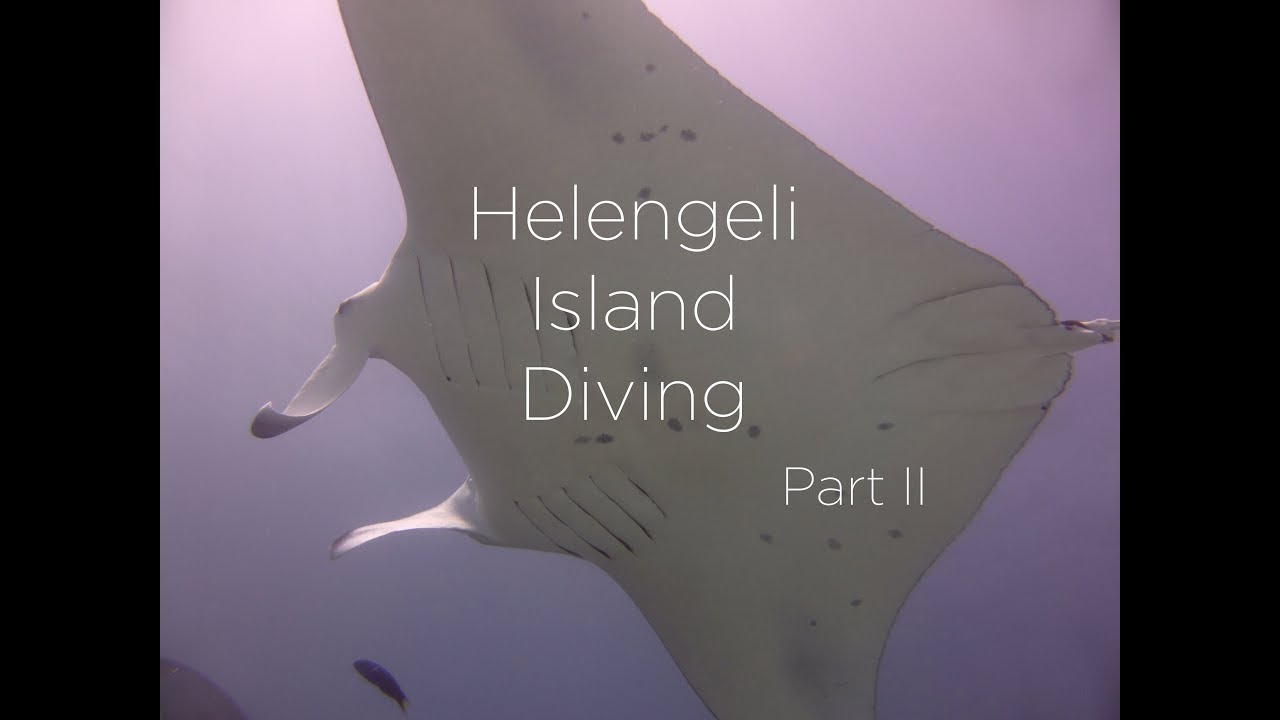Helengeli Island Diving, Part II, Maldives