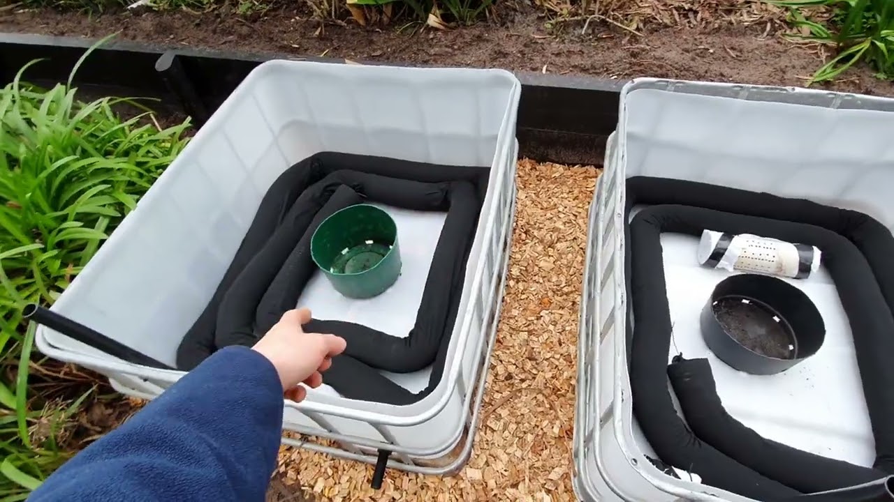 Garden vlog: IBC wicking beds round 2