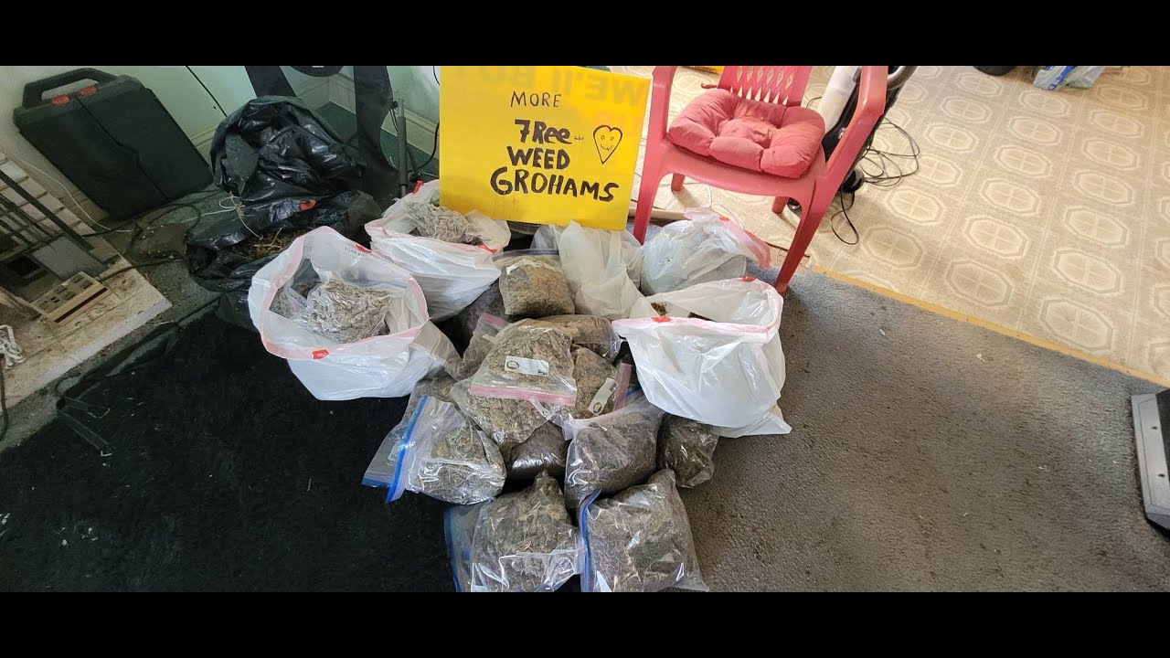 WEED FOR FREE Rando's cannabis give away Feb 13 2022