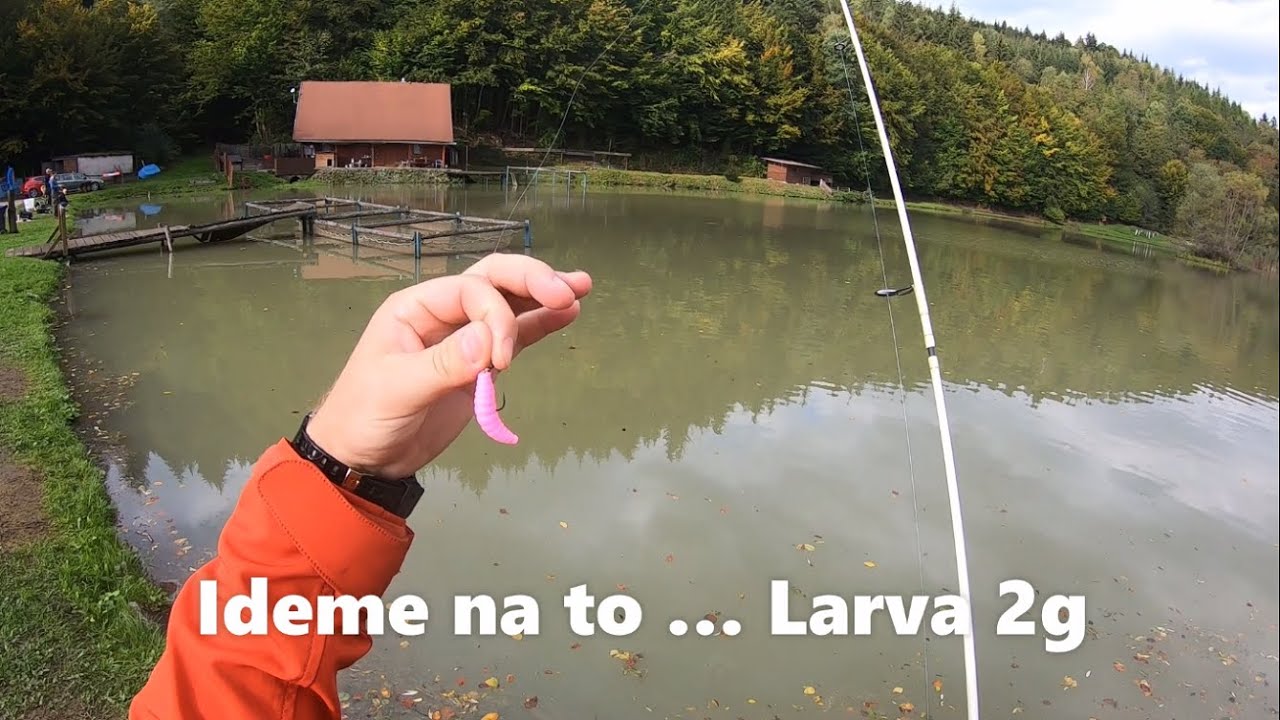 Chytanie pstruha dúhového na rybníku na gumu ... / Rainbow trout lake fishing on silicone baits ...