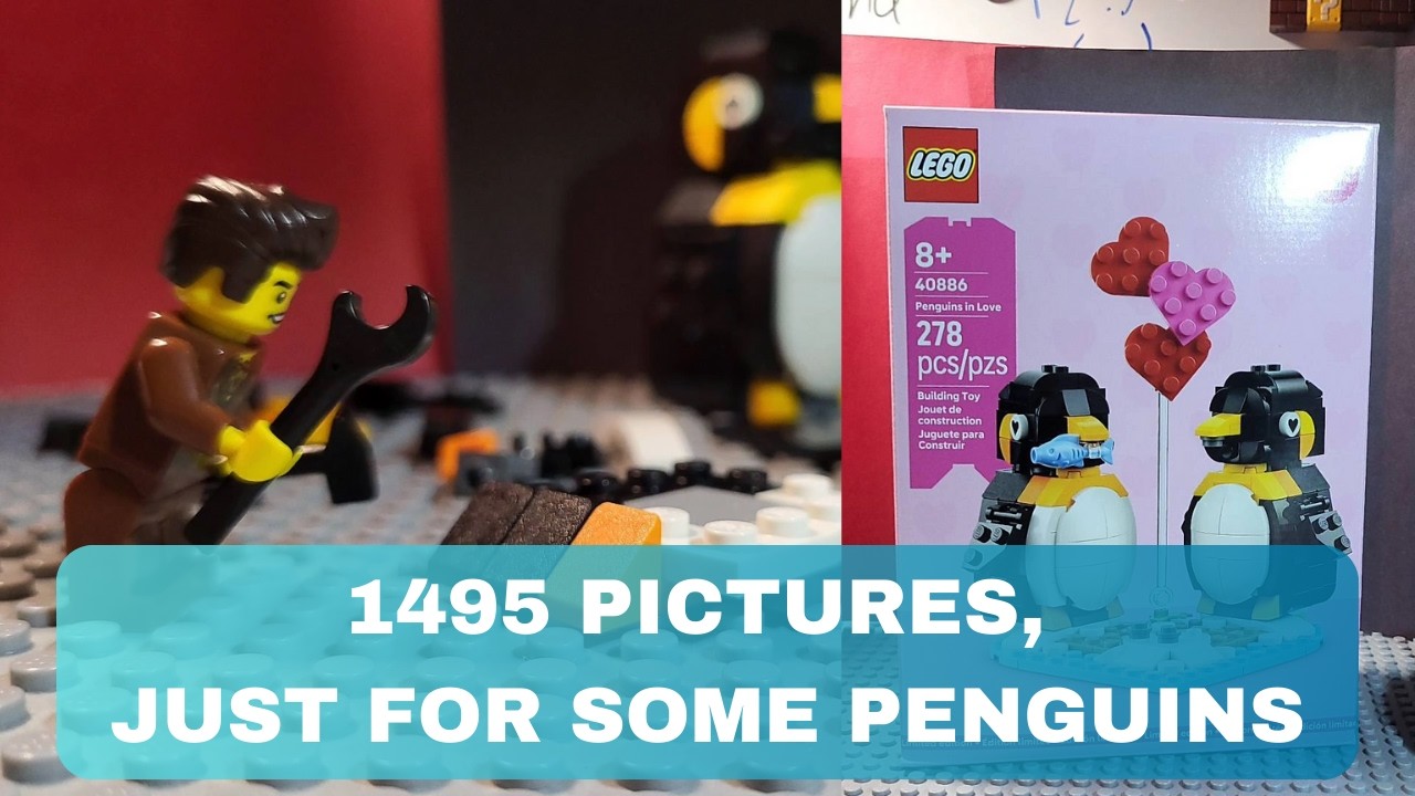 Dareth builds Penguins In Love