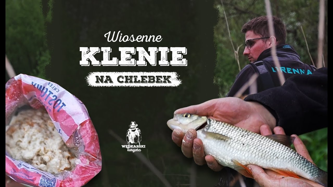 Jak łowić klenie na chlebek/wiosna #07