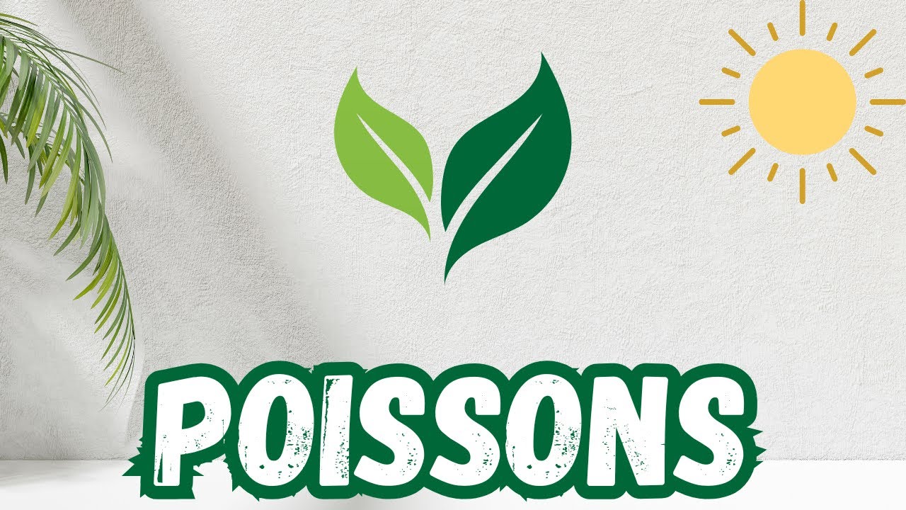 POISSONS 😱UNE TEMPÊTE ARRIVE DANS 3JOURS🫨LA PLUS GRANDE SURPRISE SE PRODUIRA💣