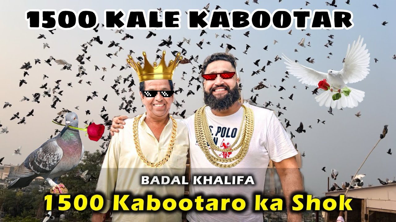 1500 Kabootar 🕊️Kabootarbazi Ke बादशाह 😍 Khalifa Badal Bhaiya |1500 kale Kabutar |Ustad Pappu Talim